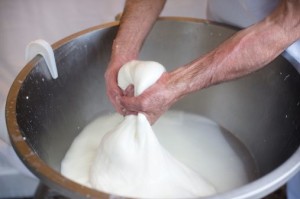 R-148036412-mozzarella-fare