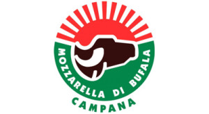 Mozzarella di bufala