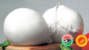 Mozzarella di Bufala