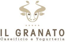 logoilgranato