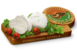 Mozzarella di bufala Dop