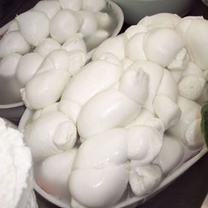 mozzarella di bufala