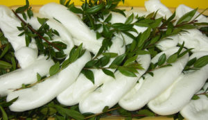 mozzarella nella mortella