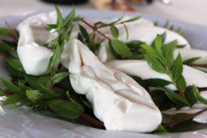 mozzarella nella mortella