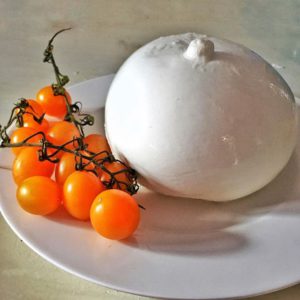 brevetto-mozzarella